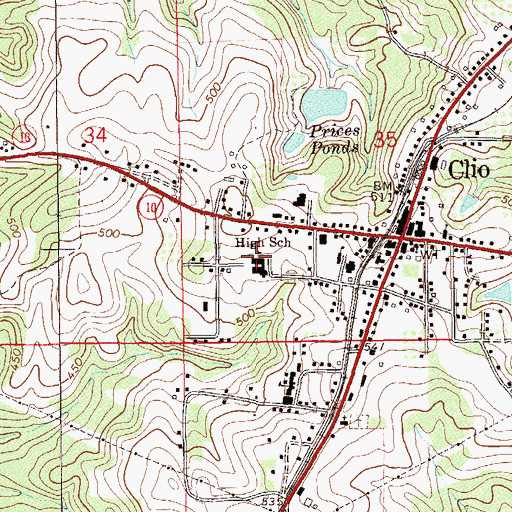 Topographic Map of Clio High School, AL