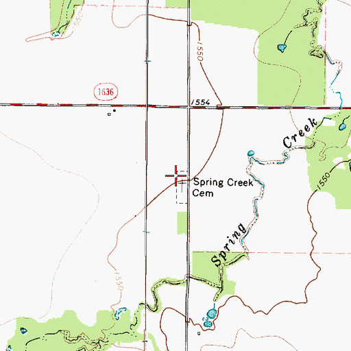 Topographic Map of Spring Creek Cemetery, TX