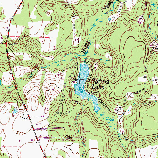 Topographic Map of Spring Lake, TX
