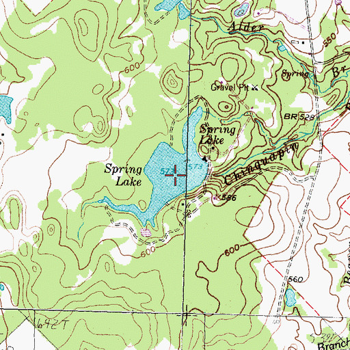 Topographic Map of Spring Lake, TX