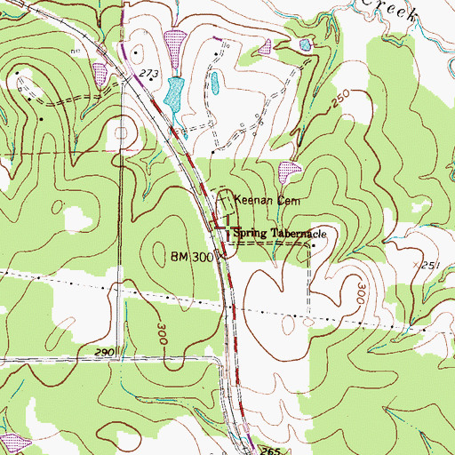 Topographic Map of Spring Tabernacle, TX