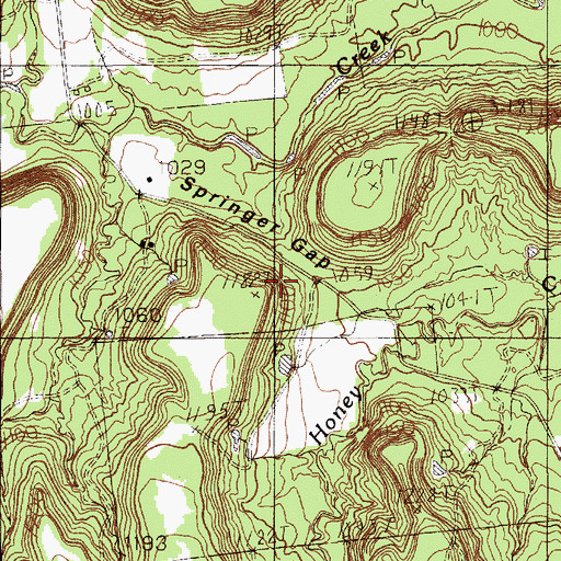 Topographic Map of Springer Gap, TX
