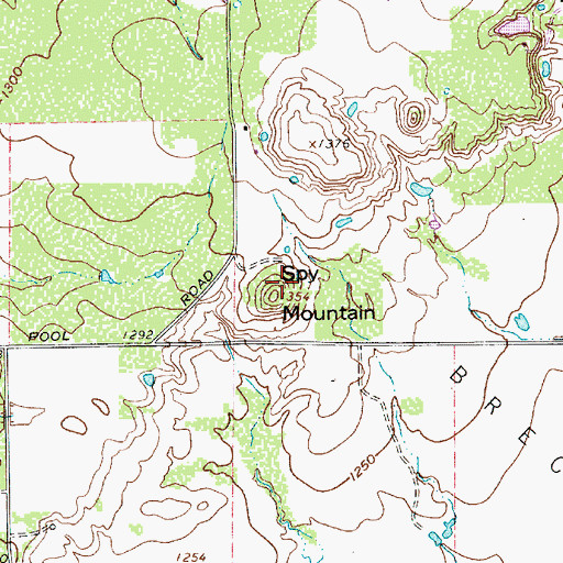Topographic Map of Spy Mountain, TX