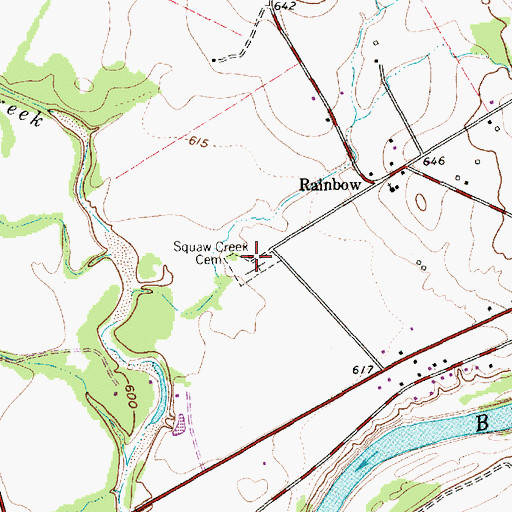 Topographic Map of Squaw Creek Cemetery, TX