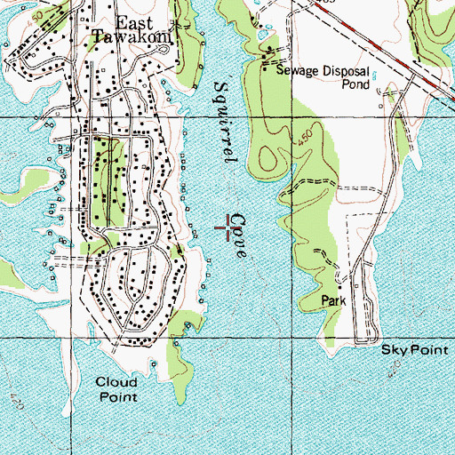 Topographic Map of Squirrel Cove, TX