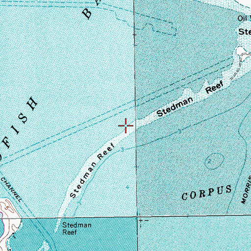 Topographic Map of Stedman Reef, TX