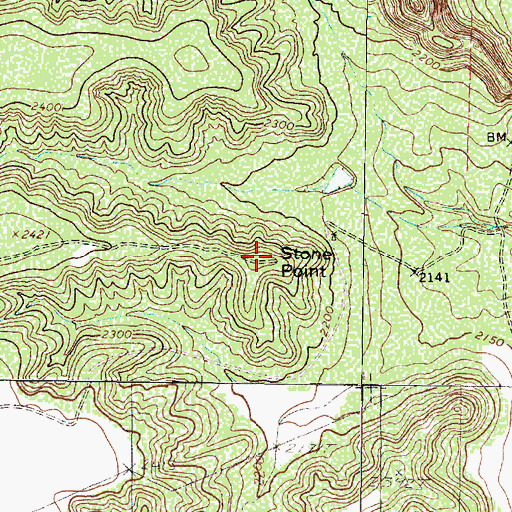 Topographic Map of Stone Point, TX