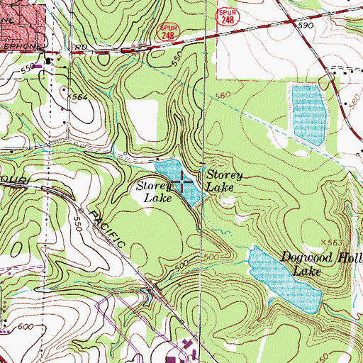 Topographic Map of Storey Lake, TX