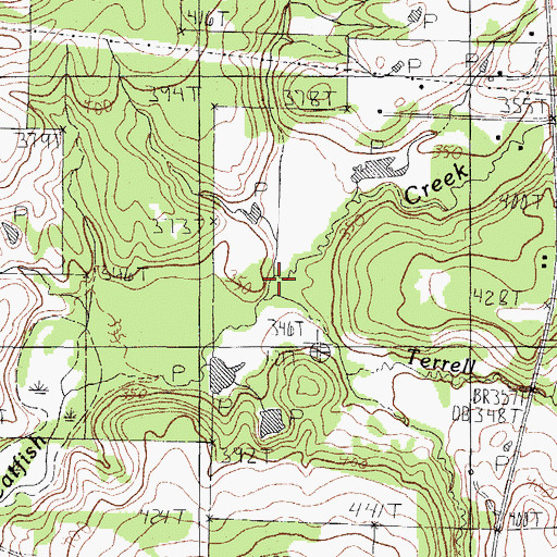 Topographic Map of Terrell Branch, TX