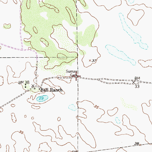 Topographic Map of Suman Gate, TX