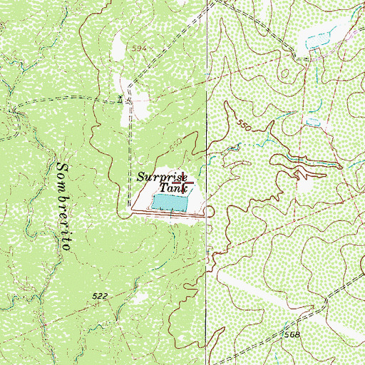 Topographic Map of Surprise Tank, TX