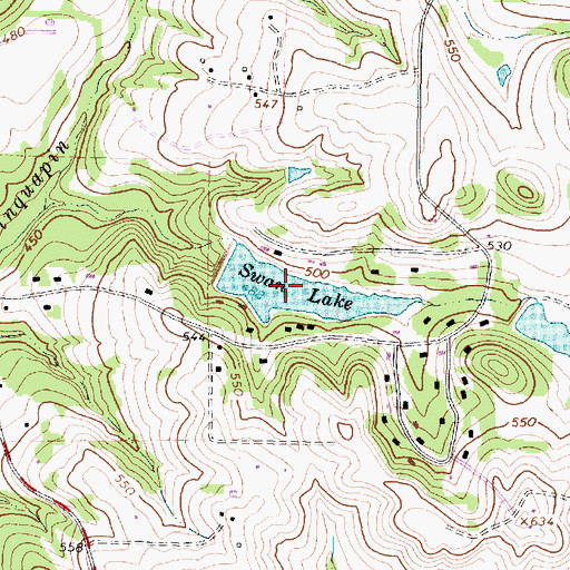 Topographic Map of Swan Lake, TX