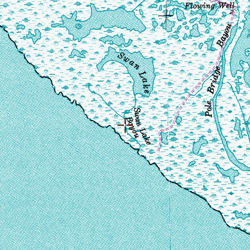 Topographic Map of Swan Lake Bayou, TX