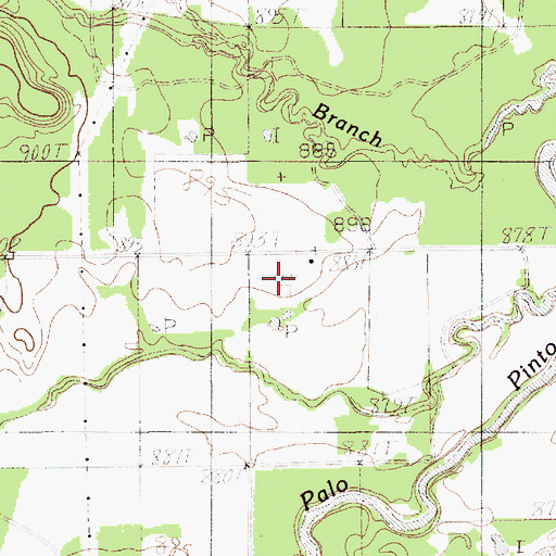 Topographic Map of Swank Cemetery, TX