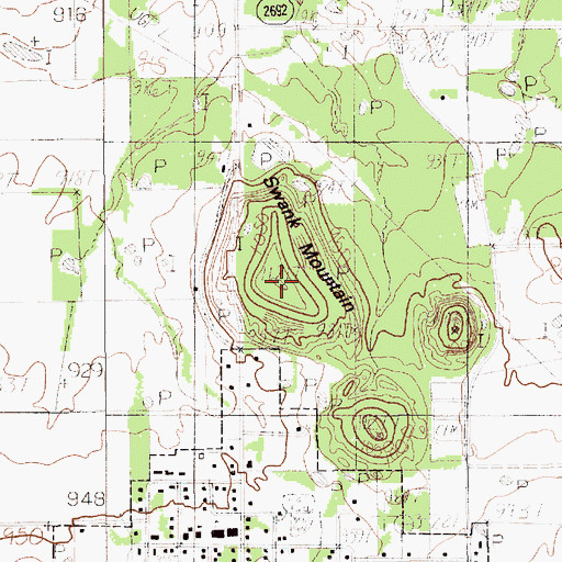 Topographic Map of Swank Mountain, TX