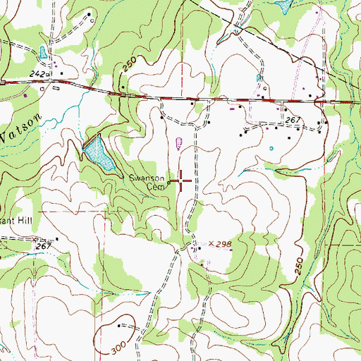 Topographic Map of Swanson Cemetery, TX