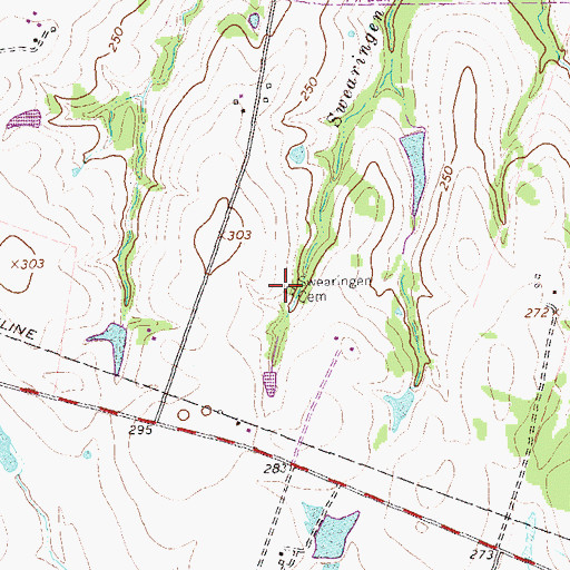 Topographic Map of Swearingen Cemetery, TX