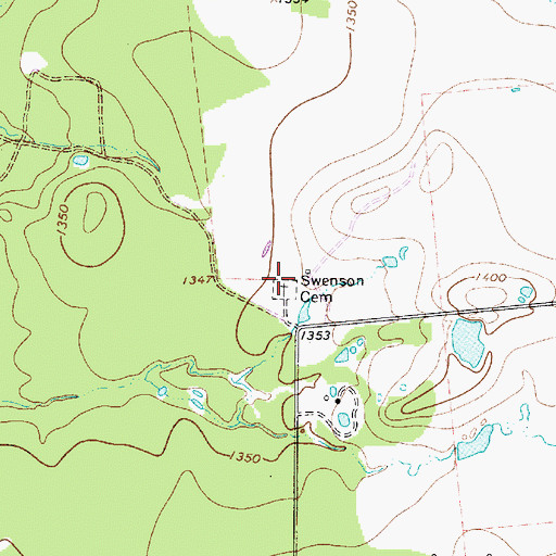 Topographic Map of Swenson Cemetery, TX