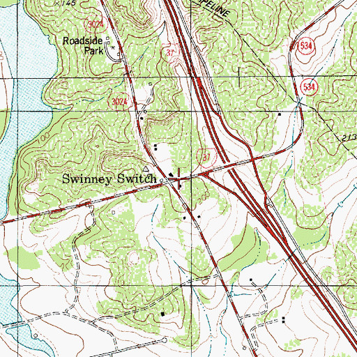 Topographic Map of Swinney Switch, TX