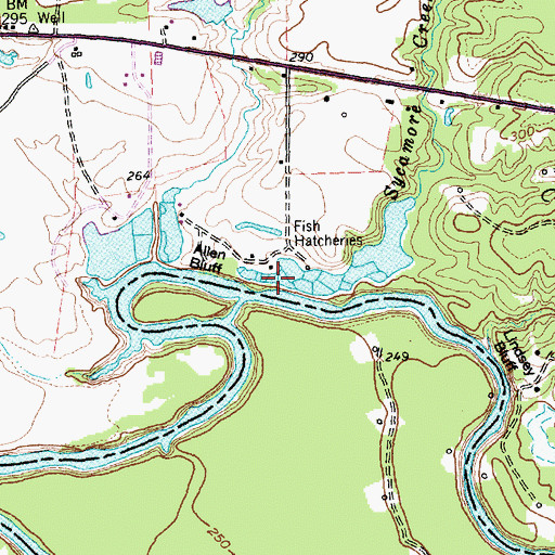 Topographic Map of Sycamore Creek, TX