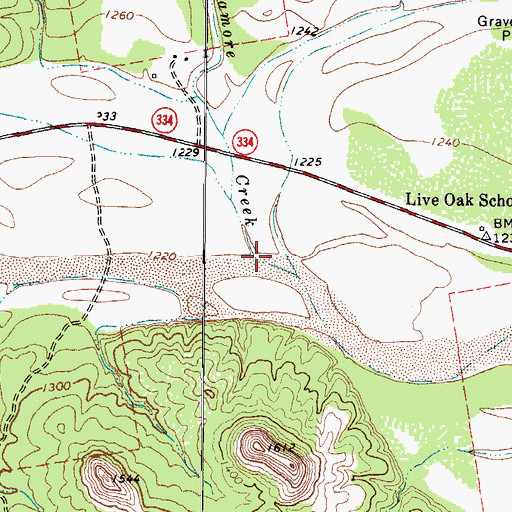 Topographic Map of Sycamore Creek, TX