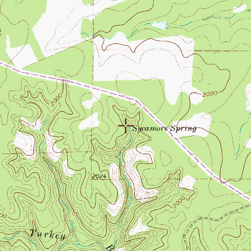 Topographic Map of Sycamore Spring, TX
