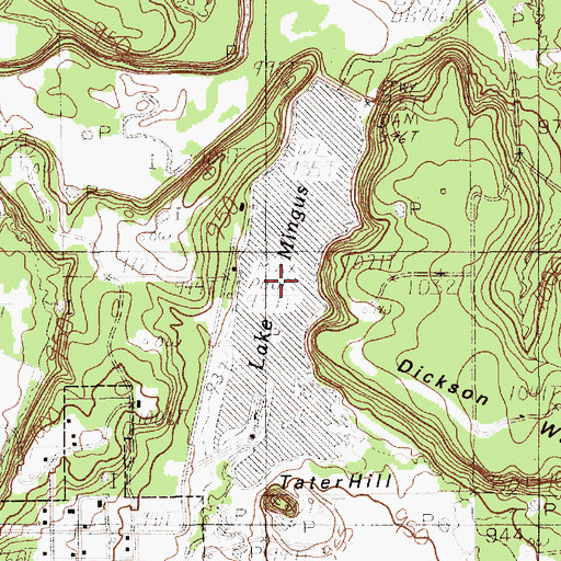 Topographic Map of Lake Mingus, TX