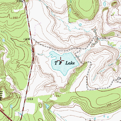 Topographic Map of T P Lake, TX