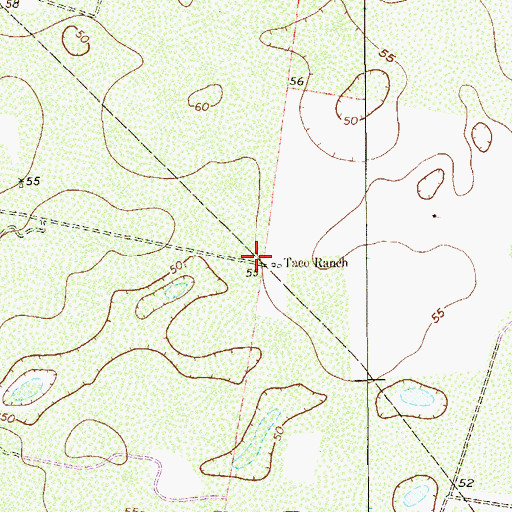 Topographic Map of Taco Ranch, TX