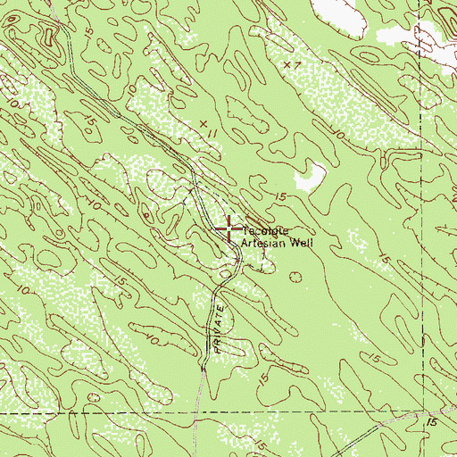 Topographic Map of Tacolote Artesian Well, TX