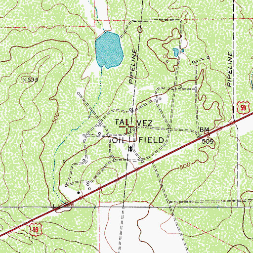 Topographic Map of Tal Vez Oil Field, TX