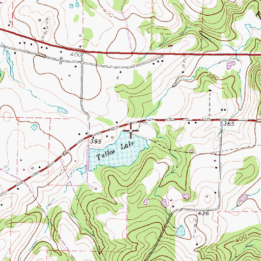 Topographic Map of Tallos Lake, TX