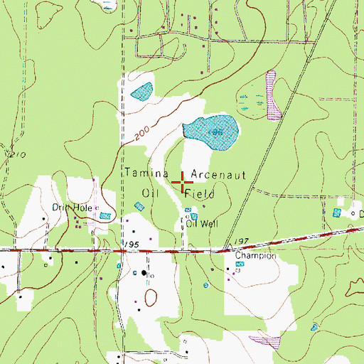 Topographic Map of Tamina Arcenaut Oil Field, TX