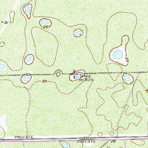 Topographic Map of Tanque del Burro, TX