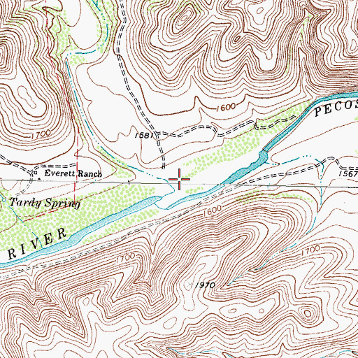Topographic Map of Tardy Canyon, TX