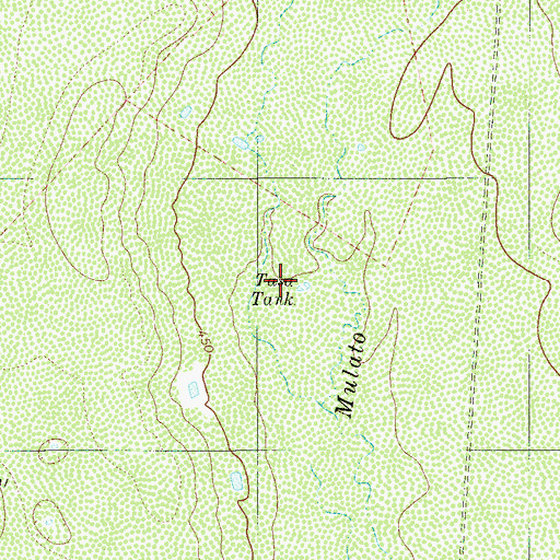 Topographic Map of Tasa Tank, TX
