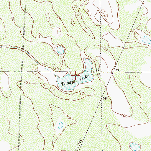 Topographic Map of Tasajal Lake, TX