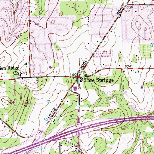 Topographic Map of Tate Springs, TX