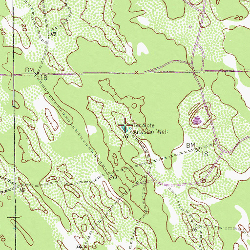 Topographic Map of Tecolote Artesian Well, TX