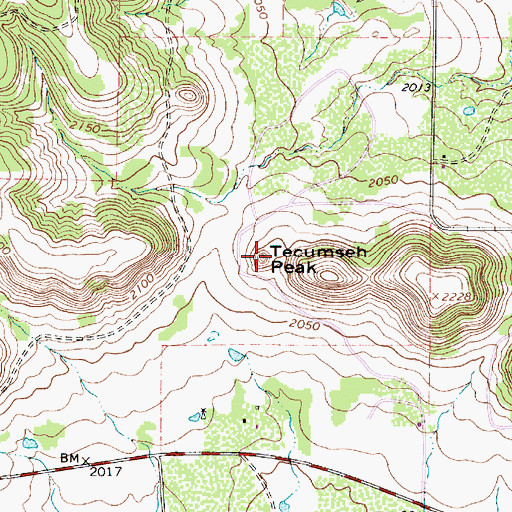 Topographic Map of Tecumseh Peak, TX