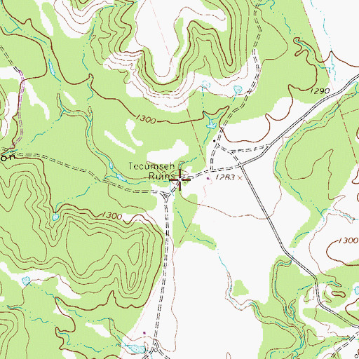 Topographic Map of Tecumseh Ruins, TX