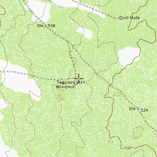 Topographic Map of Tegulero Windmill, TX
