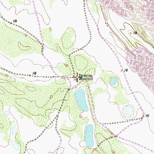 Topographic Map of Tenerias Windmill, TX