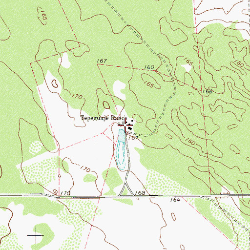 Topographic Map of Tepeguaje Ranch, TX