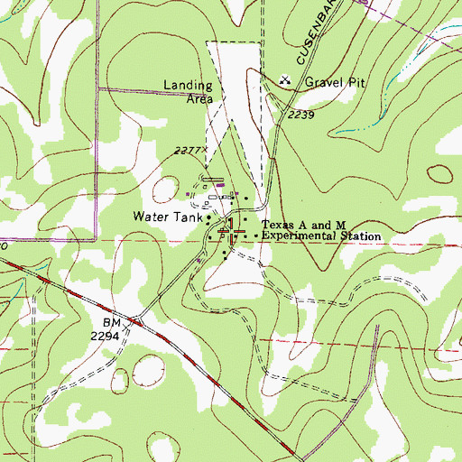 Topographic Map of Texas A and M Experimental Station, TX