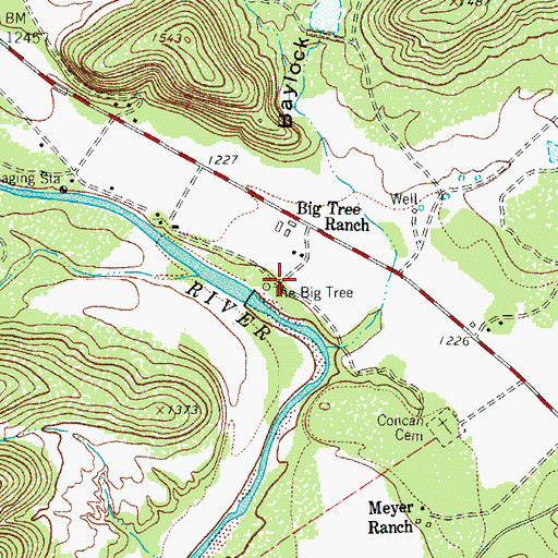 Topographic Map of The Big Tree, TX