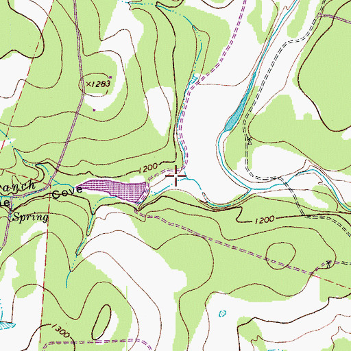 Topographic Map of The Cove, TX