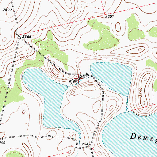Topographic Map of The Neck, TX