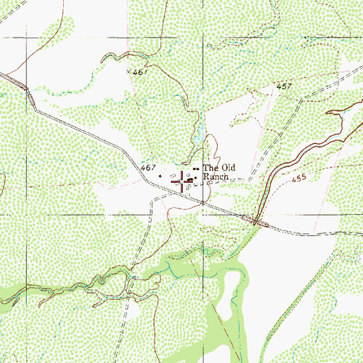 Topographic Map of The Old Ranch, TX
