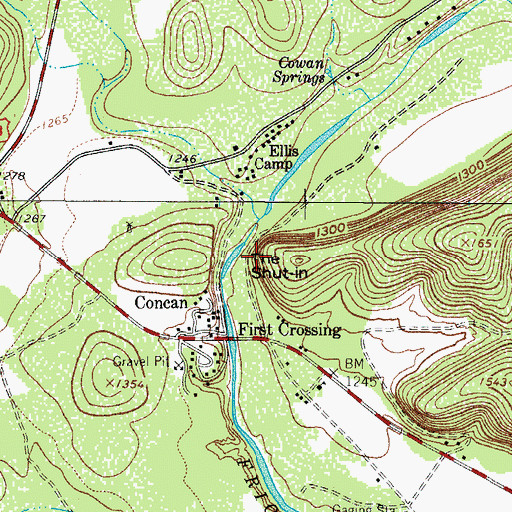 Topographic Map of The Shut-In, TX